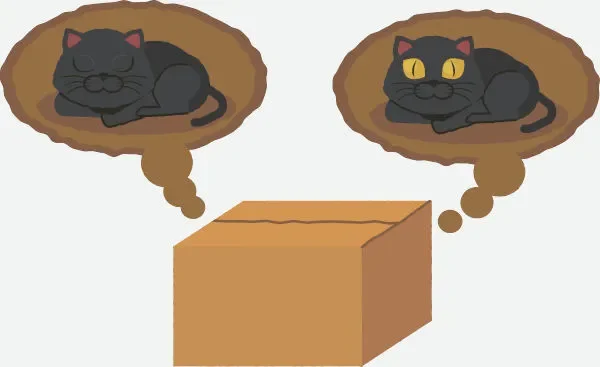 O gato de Schrödinger O gato de Schrödinger